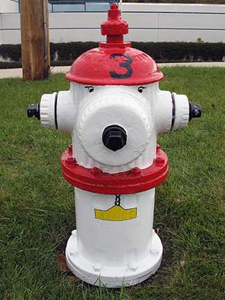 Ashes the Dog - 1415 S. Ardmore